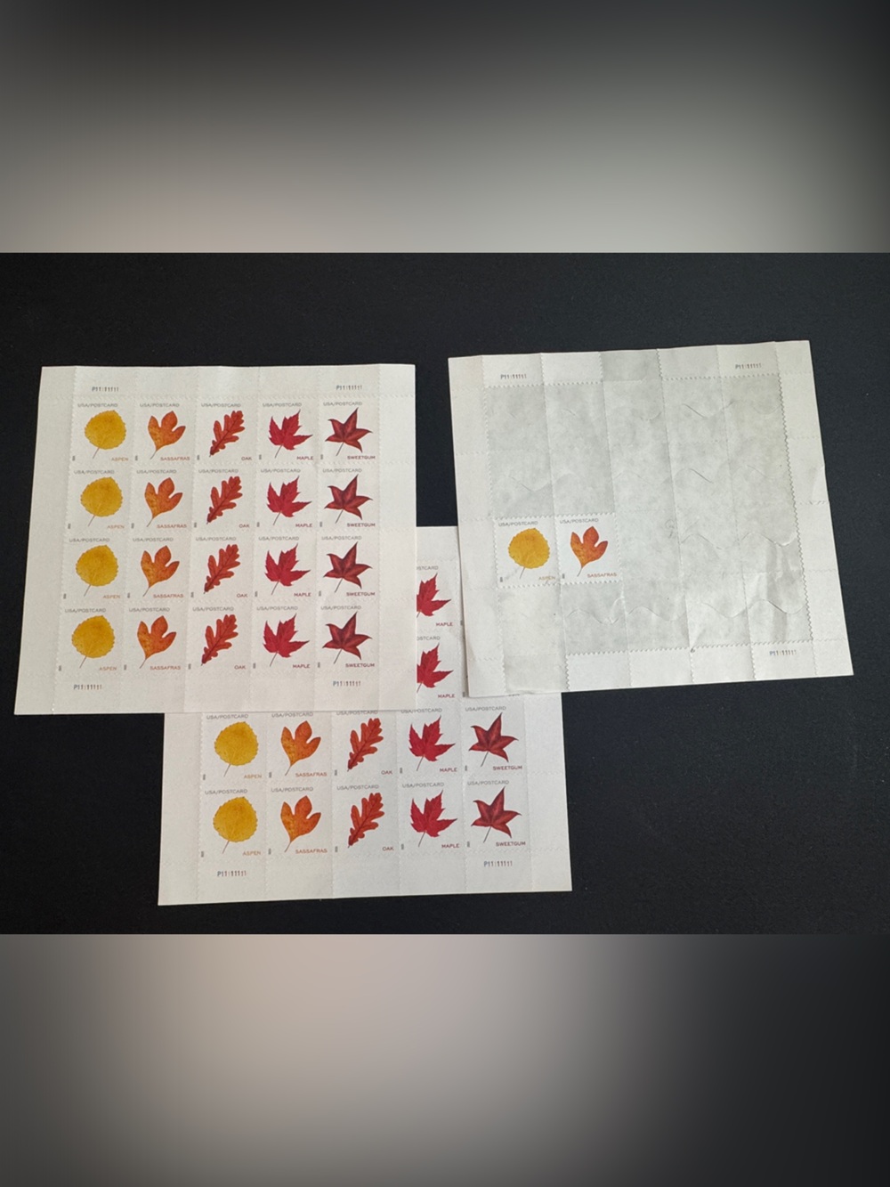 Postcard Autumn Leaf Stamp Sheet Set - 42 stamps